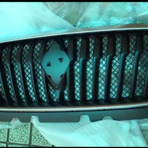 جلوپنجره بورگوارد BX5,BX7